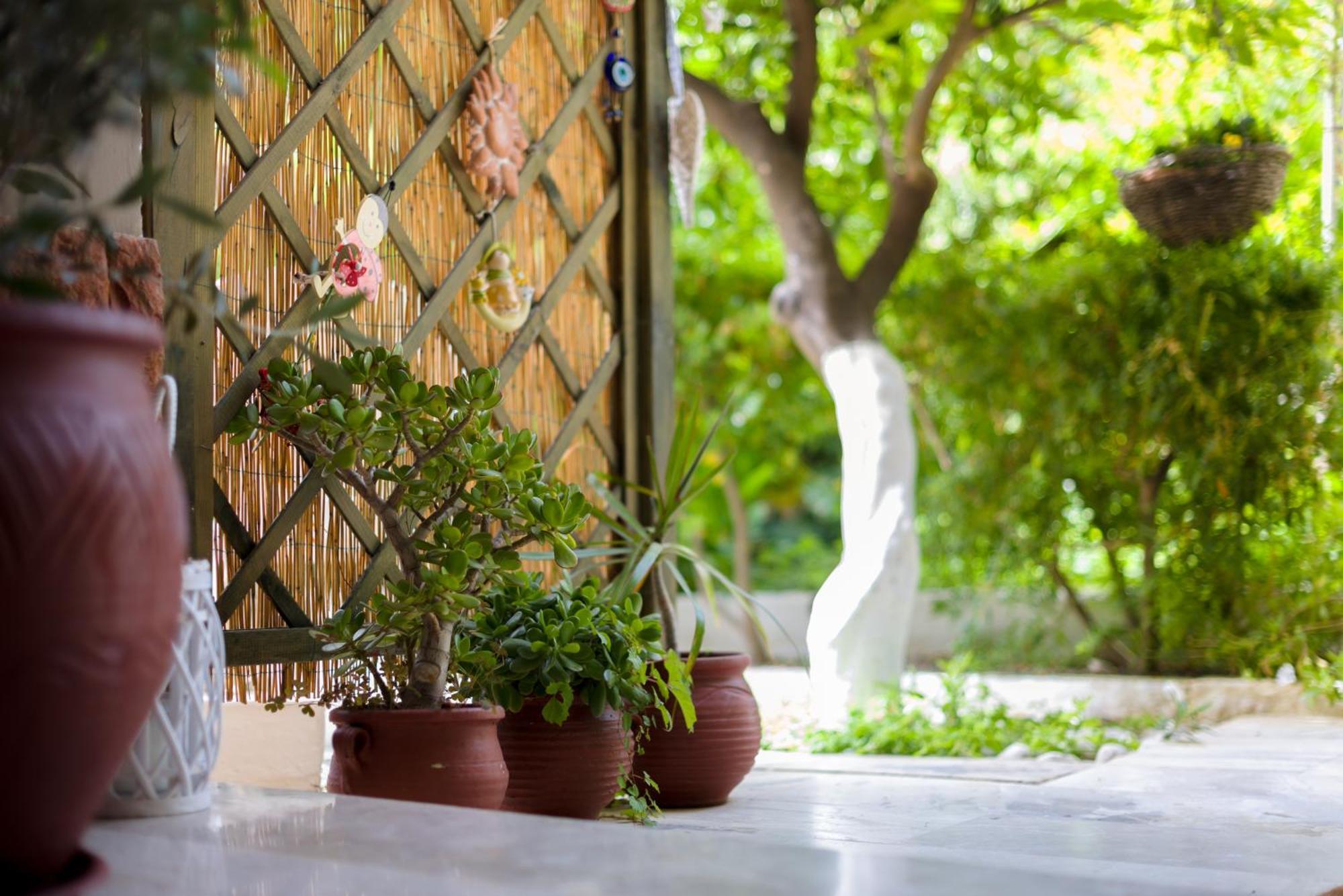 Oasis Home Tolón Exteriér fotografie